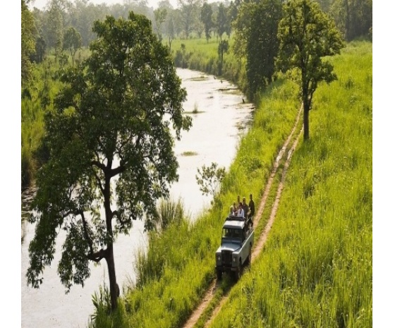 Full day jungle activities at Chitwan National Park 