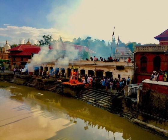 Sightseeing at Boudhanath & Pashupatinath: Fly to Chitwan ( 25 minutes flight, altitude: 415 m), half day jungle activities