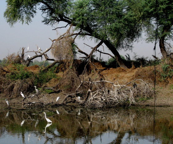 Madhav National Park Safari 