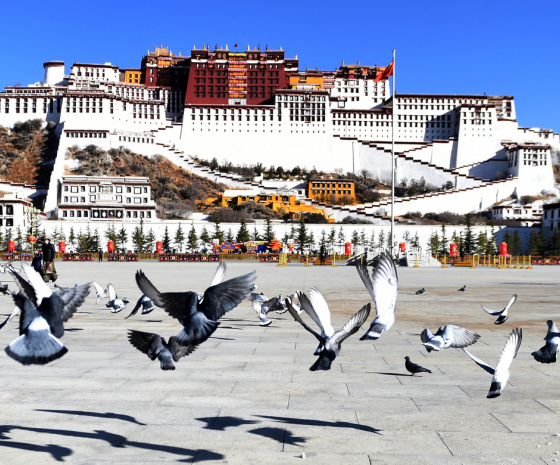 Sightseeing in Lhasa: the Potala Palace, Jokhang Temple and Barkhor Street