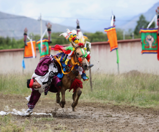 Lhasa Tour: Drepung Monastery and Sera Monastery/ Thangka Painting Display (Shoton Festival)