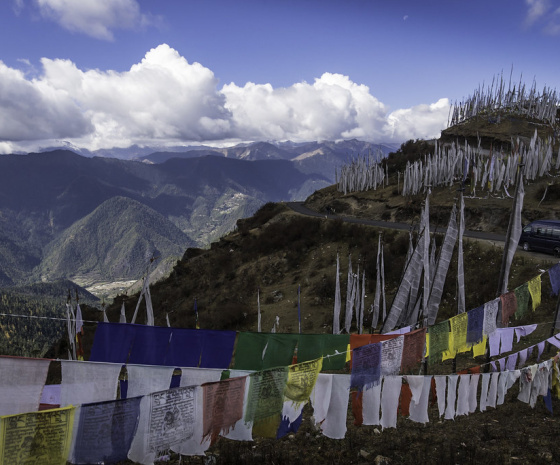 Birdwatching in Chele Pass and Journey to Thimphu