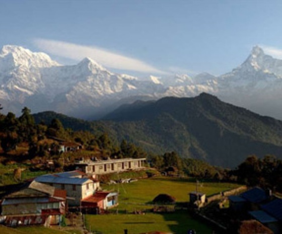 Yoga session by expert: Trek to Dhampus (1525m); 4-5 hrs walk and Drive to Pokhara from Phedi Trek to Phedi: 1hr walk & 45 minutes dirve 