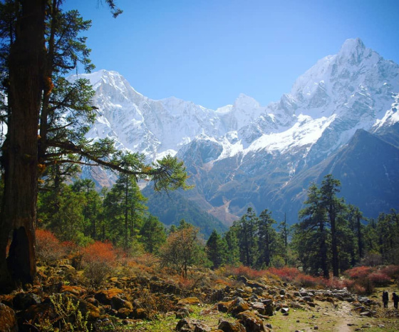 Trek from Dharamsala to Bimthang (3720m/12, 201ft) via Larkya la (5160m/16, 924ft) approx. 19kms: 8 - 9 hours (B, L, D) 