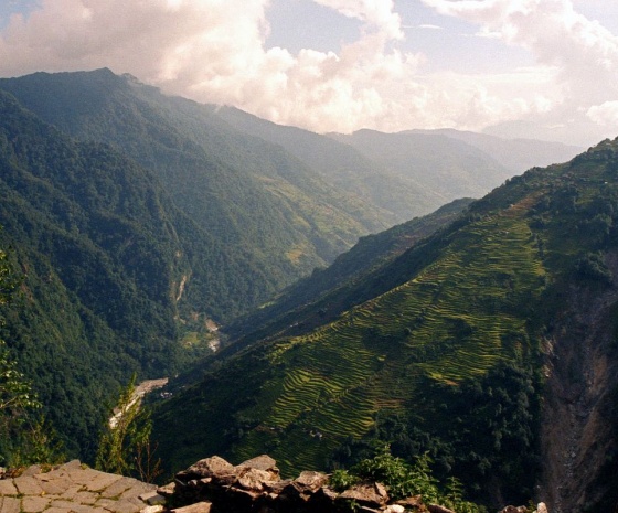 Ghandruk to Chhomrong (2170m): 5 - 6 hours (B, L, D)