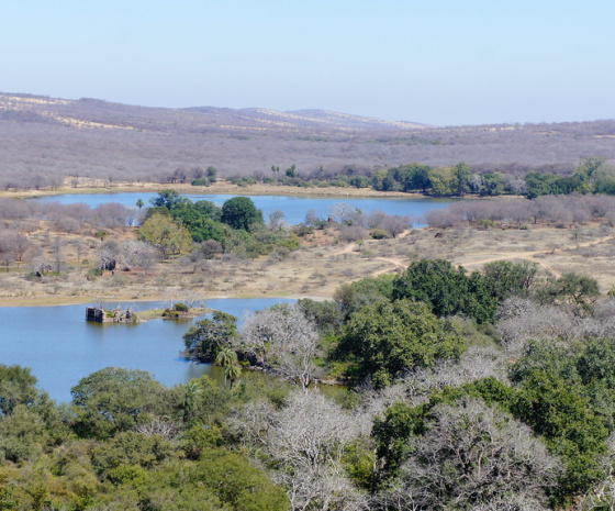 Shivpuri to Ranthambore