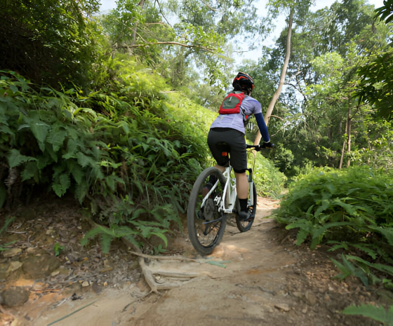 Ride from Kathmandu to Chisapani via Shivapuri National park-Mulkharka: 30KM: 6 hours