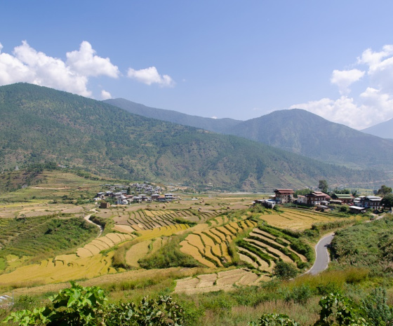 Bumthang / Punakha (205 km aprox , 7 hours drive)