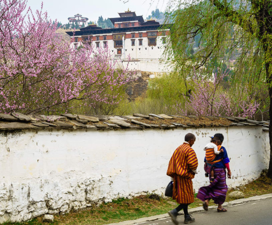 Bumthang / Punakha (205 km aprox , 7 hours drive)