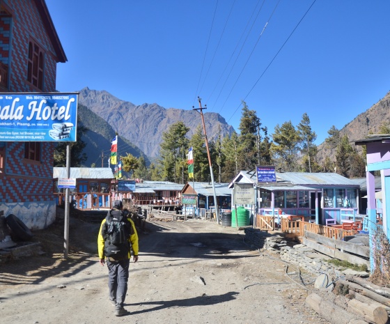 Trek Pisang - Manang (3540m/11615ft) approx. 15km: 6-7 hours walk (B, L, D)