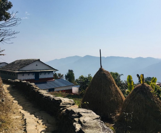 Drive to World Peace Pagoda: Explore & short hike to Kalabang (1344m altitude): Lunch with family: 90 minutes drive & 4 hours walk (B, L)