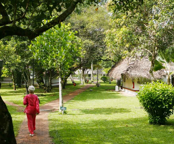  Rest and Relaxation at Marari Beach