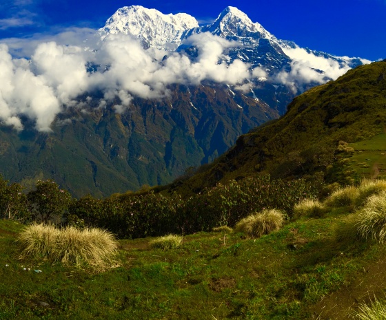 Forest Camp - High Camp, (3550 m) altitude - 6 hrs trek: 7 km (B, L, D)