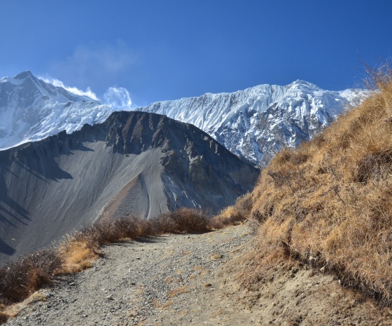 Trek Kangsar to Tilicho Base Camp (4140m/13583ft) approx. 6Kms: 2-3 hours walk (B, L, D)