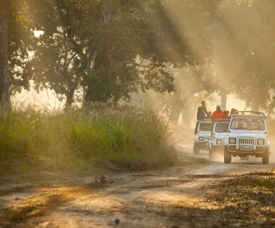 Corbett National Park Safari Day. 