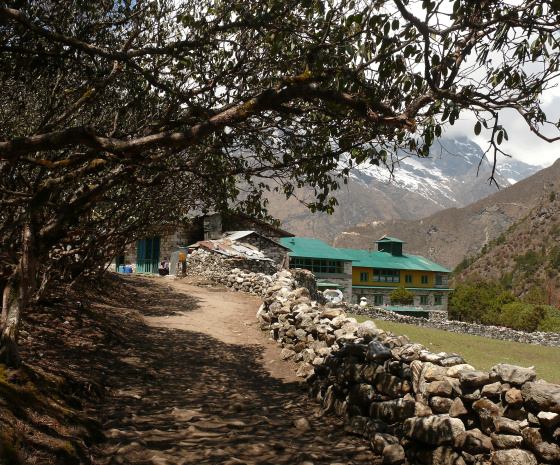 Trek: Namche (3,440 M) - Deboche (3,820 M) 5-6 hrs (B,L,D)