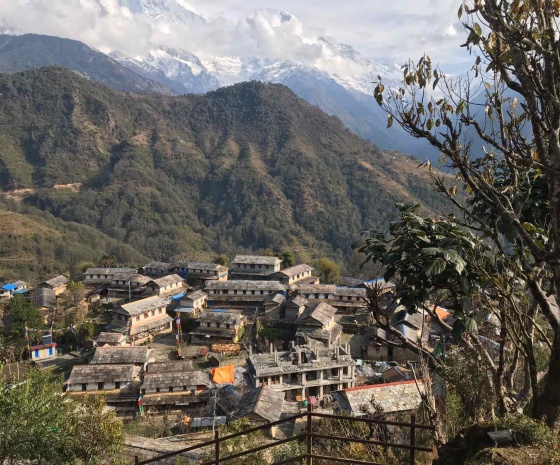 Birentanthi - Ghandruk (2012m) / Trek duration: 4-5 hours, Distance: 17.8 km (B, L, D)