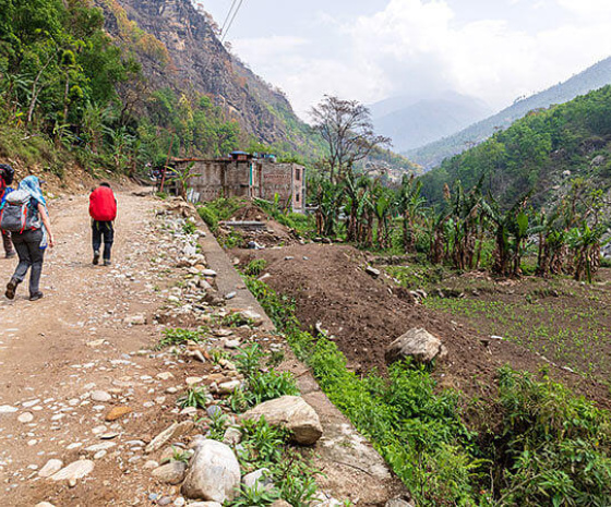 Trek from Bimthang to Tilije (2300m/7544ft) approx. 16kms: 5 - 6 hours (B, L, D) 