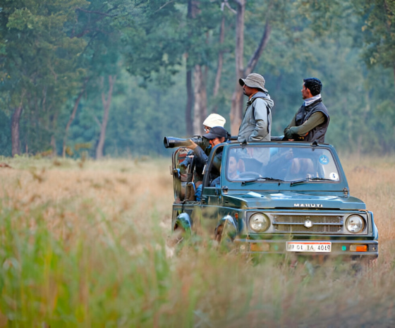 Kanha National Park Safari Day. 