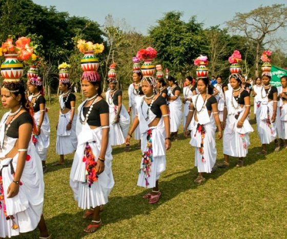 Pokhara to Chitwan: 415m altitude / Drive duration: 5 to 6 hours' 150 km 