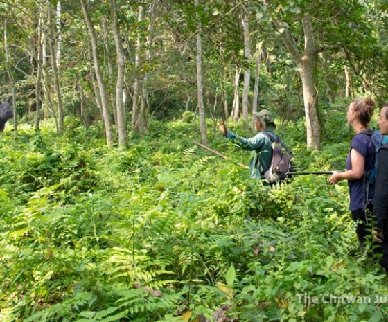 Full day jungle activities at National Park (B, L, D)