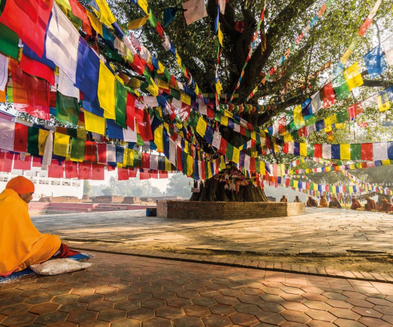 Exploring Lumbini's international Buddhist sites (B)