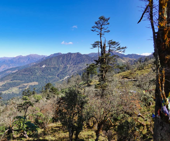 Punakha to Phobjikha over Lawa La (pass), 85 km