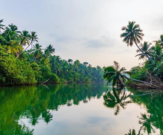 Wellness at Kumarakom 