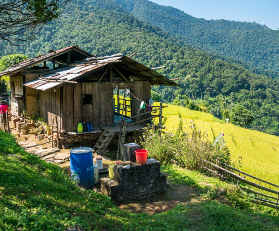 Trongsa to Tingtibi, 140 km, birding along the Zhemgang road