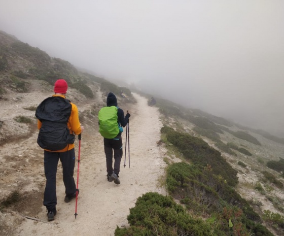 Dzongla to Lobuche (4940 m/16,207 ft): 6km, 2 - 3 hours (B, L, D)