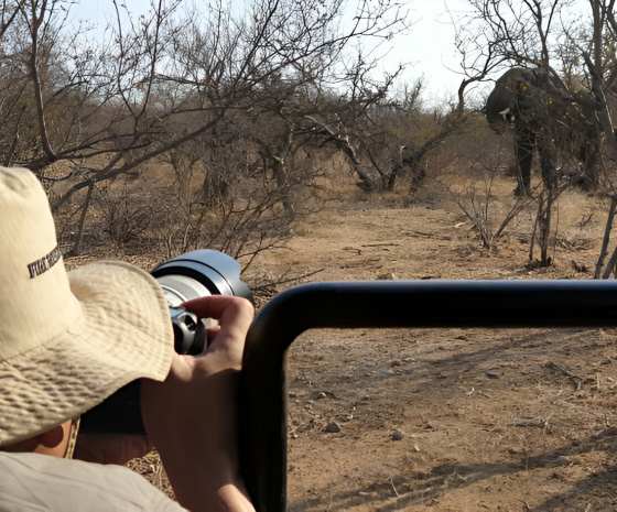 Corbett National Park Safari Day. 