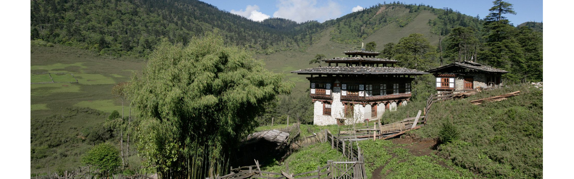 Royal Manas National Park: Bhutan bird photography Banner