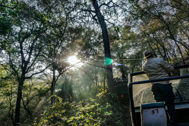 Wildlife Safari in India 